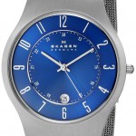 Skagen Grenen Titanium Watch 233XLTTN Review