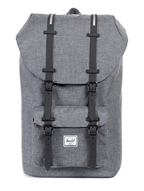 20 stylish backpacks