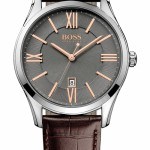 Hugo Boss Designer Watch 1513041 Review